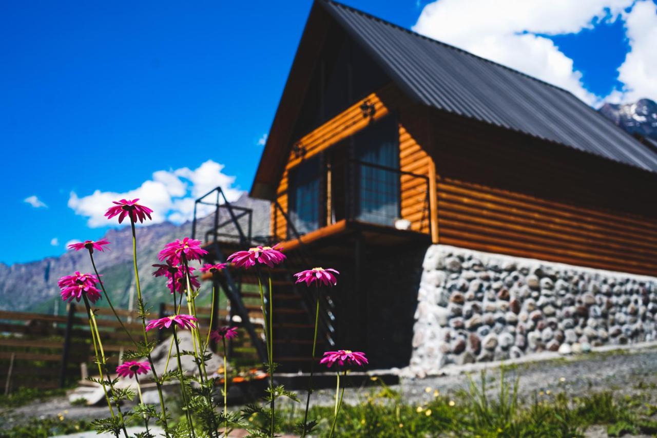 Traveler'S Cottages In Kazbegi Exterior photo